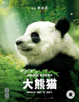 大熊猫剧照