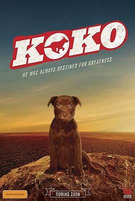 Koko:红犬历险记剧照