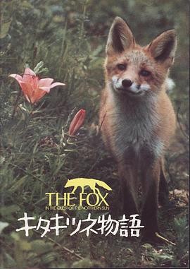 狐狸的故事海报剧照