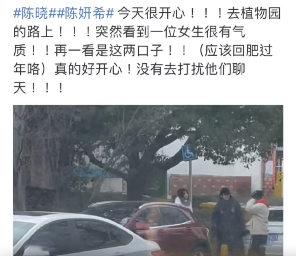 网友偶遇陈晓陈妍希 夫妻二人穿羽绒服站在路旁与好友聊天封面图