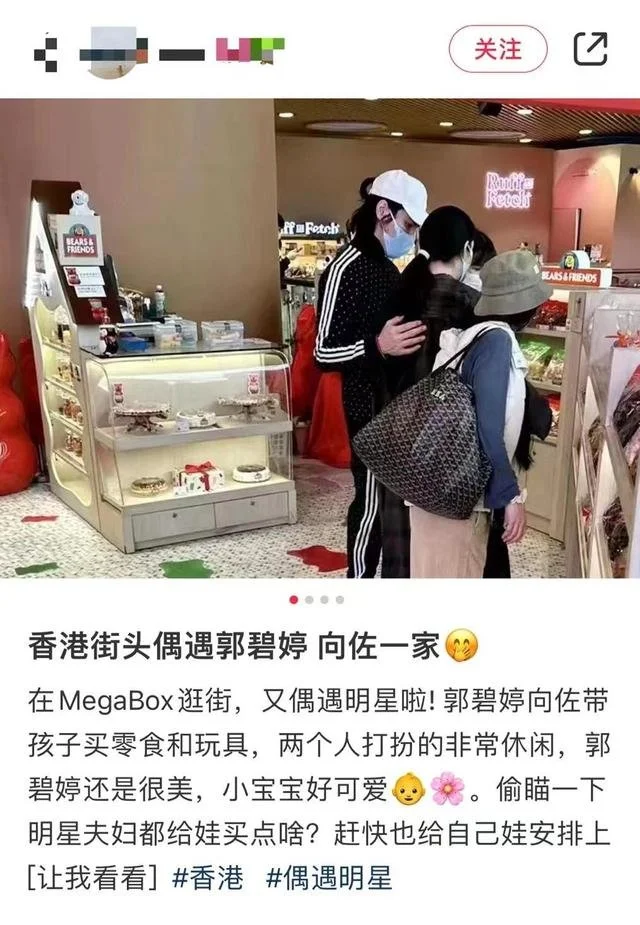 传郭碧婷赴港办离婚手续 网友偶遇其与向佐带宝宝逛街封面图