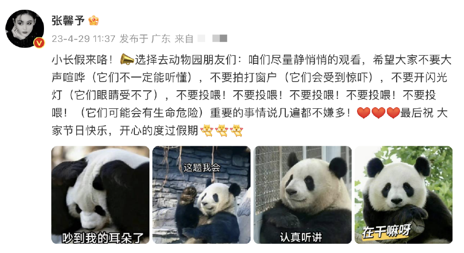 张馨予发博呼吁文明观赏大熊猫 配表情包祝大家假期快乐封面图