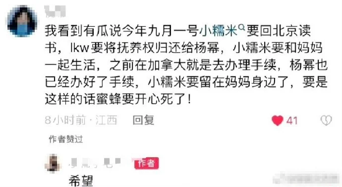 网传刘恺威归还女儿抚养权给杨幂 还称小糯米将回北京读书封面图