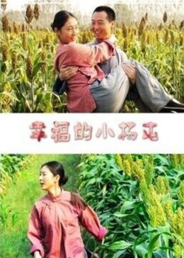 幸福的小杨屯在线观看