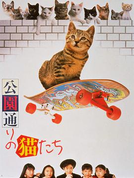 公园路的猫们在线观看