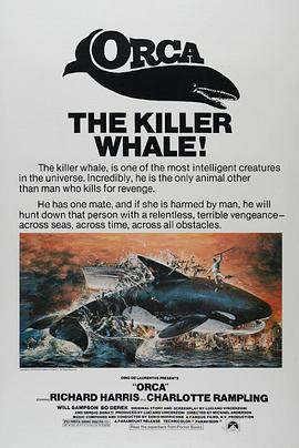 杀人鲸在线观看