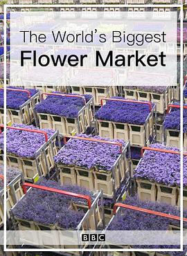 世界上最大的鲜花市场在线观看