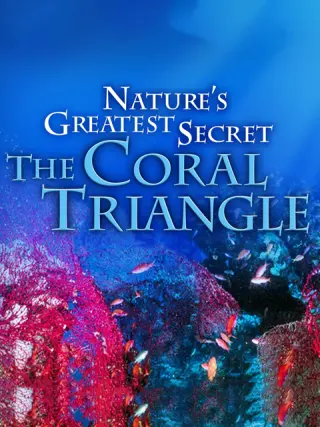 大自然最大的秘密：珊瑚三角区