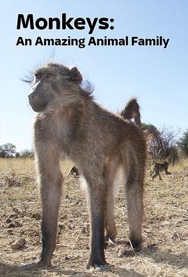 猴子：奇妙的动物家族在线观看