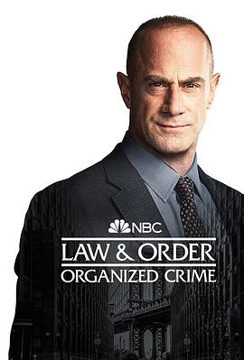 法律与秩序：组织犯罪第三季MP4格式