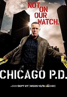 芝加哥警署第五季在线播放