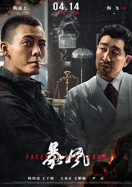 暴风  2023 最新动作悬疑电影.4k 高码率版 .国语中字