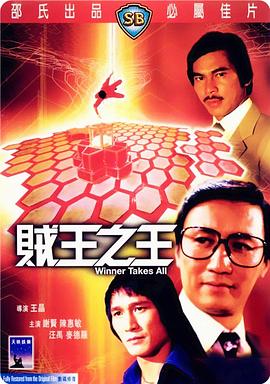 贼王之王1982海报剧照