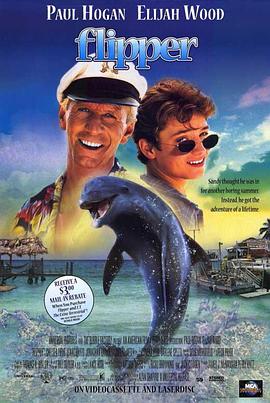 海豚的故事1996